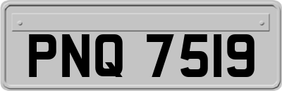 PNQ7519