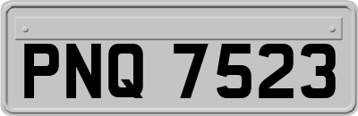 PNQ7523