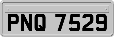 PNQ7529