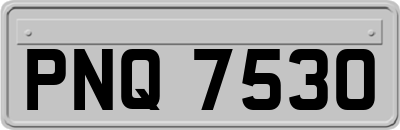 PNQ7530
