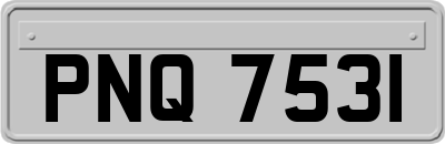PNQ7531