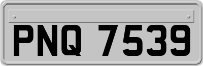 PNQ7539