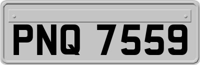 PNQ7559