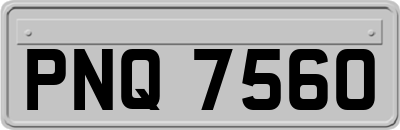 PNQ7560