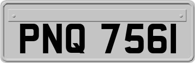 PNQ7561
