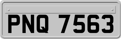 PNQ7563