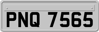 PNQ7565