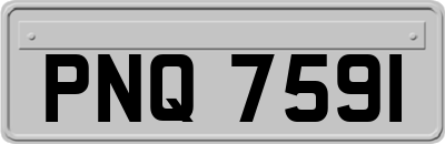 PNQ7591
