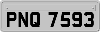 PNQ7593