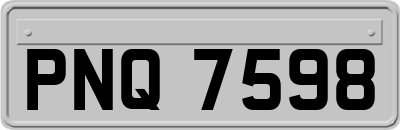 PNQ7598