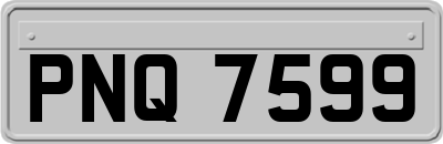 PNQ7599
