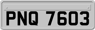 PNQ7603