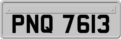 PNQ7613