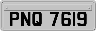 PNQ7619