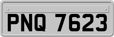 PNQ7623