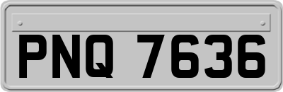 PNQ7636