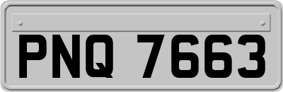 PNQ7663