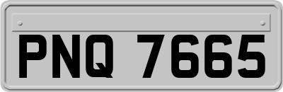PNQ7665