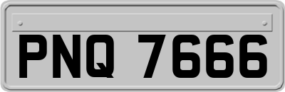 PNQ7666