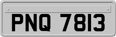 PNQ7813