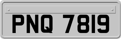 PNQ7819