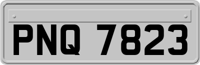 PNQ7823