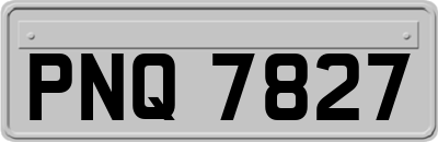 PNQ7827
