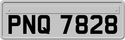 PNQ7828