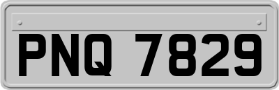 PNQ7829