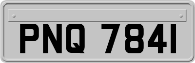 PNQ7841