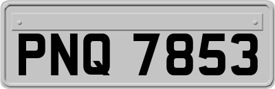 PNQ7853
