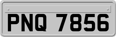PNQ7856