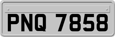 PNQ7858