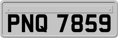 PNQ7859