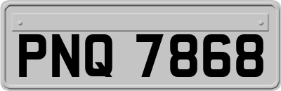 PNQ7868