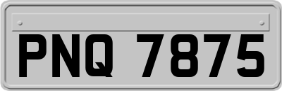PNQ7875