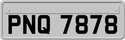 PNQ7878