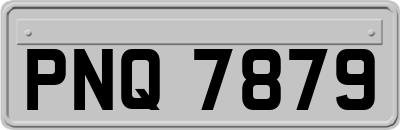 PNQ7879