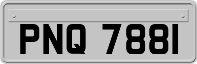 PNQ7881
