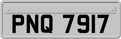 PNQ7917