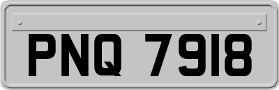 PNQ7918