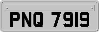 PNQ7919