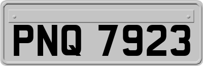 PNQ7923
