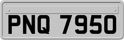 PNQ7950