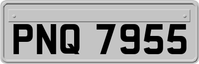 PNQ7955