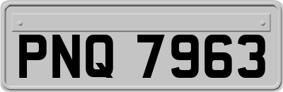 PNQ7963
