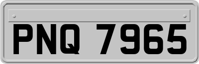 PNQ7965
