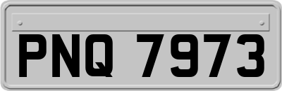 PNQ7973