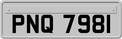 PNQ7981