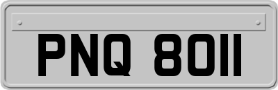 PNQ8011